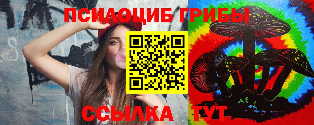 Псилоцибиновые грибы прущие грибы Балашиха